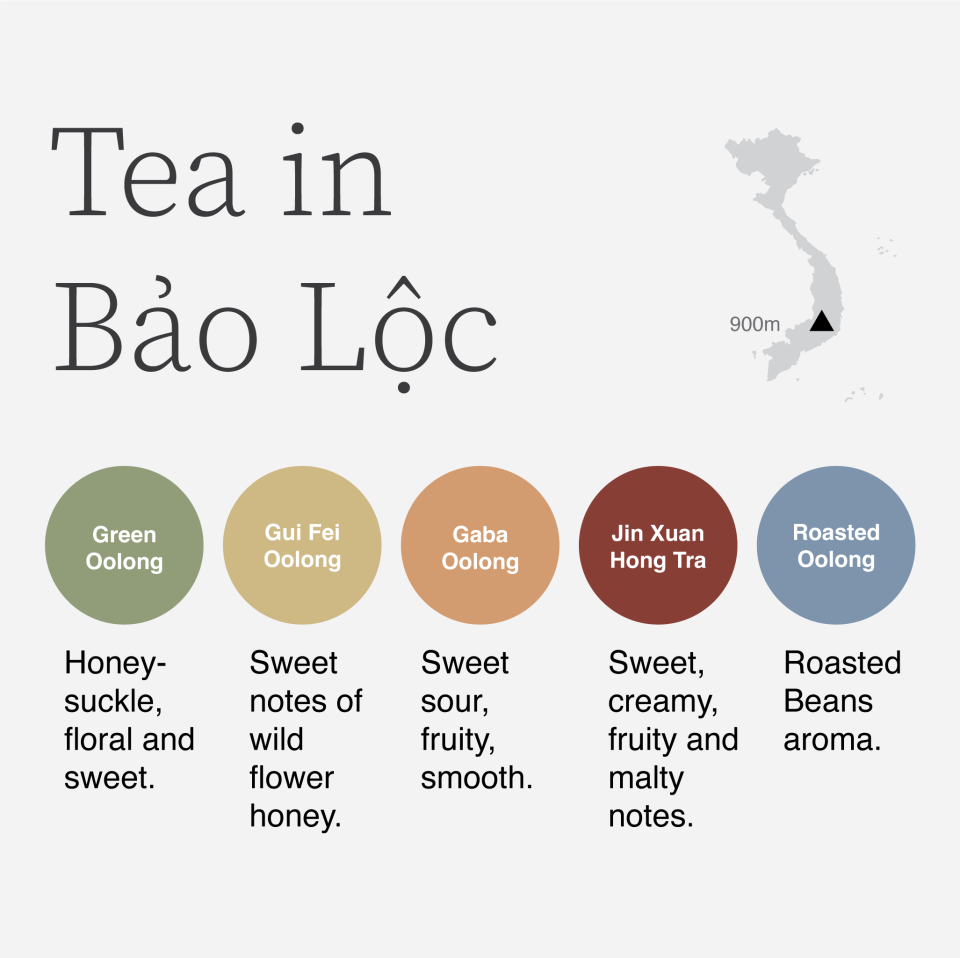 Tết Holiday Tea Colection - Ngũ Phúc Lâm Môn